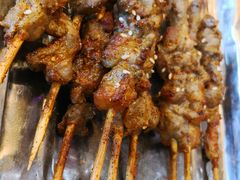 烤肉筋-老马家拉面(碧水花园东南)
