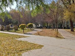 -黑龙江大学