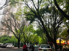 -慢象咖啡(台江店)