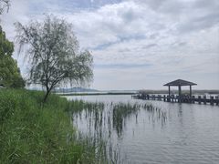 -苏州太湖湖滨国家湿地公园