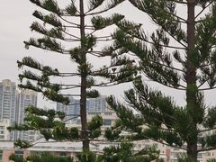 -深圳龙潭公园