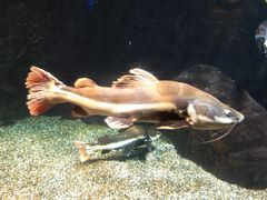 -太平洋海底世界