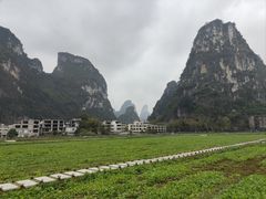 -明仕田园