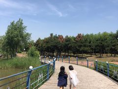-蒲河岛湿地公园