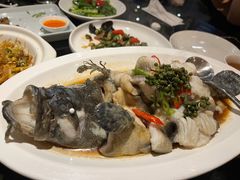 青花椒蒸龙胆鱼-闽和南(深圳万象城店)