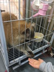 -Moni星球萌宠·小马宝莉·灵蛇·高端高阶全萌宠互动体验俱乐部(红豆国际广场店)