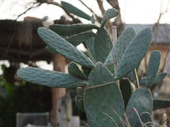 -悦哉·派对·草坪婚礼·围炉煮茶(三圣乡店)