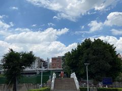 -荔湾湖公园
