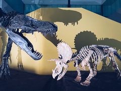 -湖南省地质博物馆