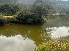 -南国桃园旅游度假区