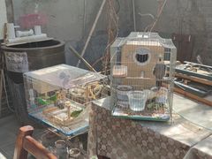 -伊隆斋(什刹海店)