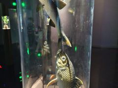 -中国湿地博物馆