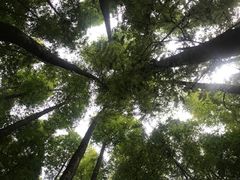 -山王坪喀斯特国家生态公园