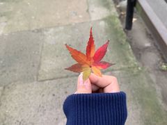 -长生素斋(普陀山店)