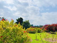 -中国科学院西双版纳热带植物园