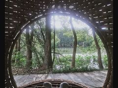 -东湖落雁景区