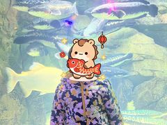 -泉城欧乐堡海洋极地世界