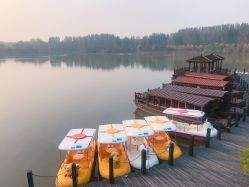 -汉石桥湿地童趣乐园