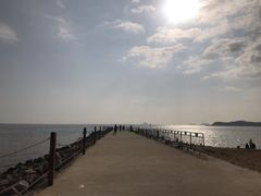-野狸岛