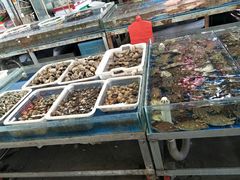 -韩家墅海吉星农产品批发市场