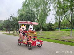 -永定河休闲森林公园