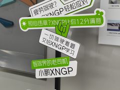 -小鹏汽车(上海静安大融城店)