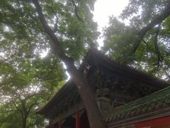 -玫瑰红烤羊排(北新桥三条店)