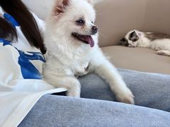 -怪兽屋·羊驼·猫咖·狗咖(俊华广场店)