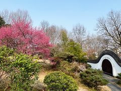 -杭州植物园