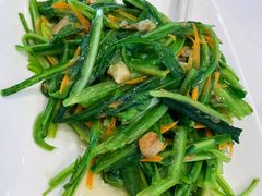 青龙菜-新峰肉骨茶