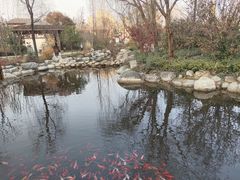 -太白山御龙湾温泉