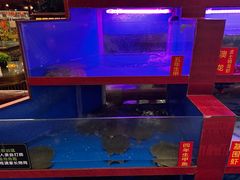 -潇湘甲鱼村(清河店)