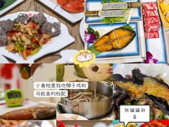 -亚龙湾热带天堂森林公园