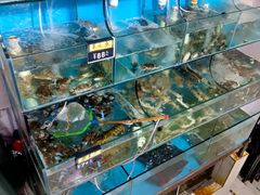 -天云活海鲜家菜馆·海鲜大咖(栈桥店)
