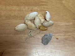 -王老头炒货(天坛东路店)