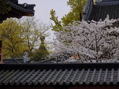 -寒山寺