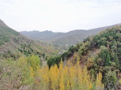 -环翠峪风景区