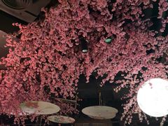 -韵秋荷(宝山龙湖天街店)