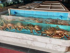 -莆鑫海鲜城(浏河店)