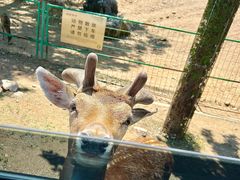 -秦皇岛野生动物园