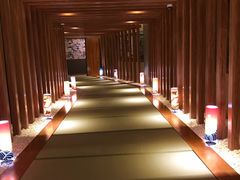 -重庆南山海昌汤都