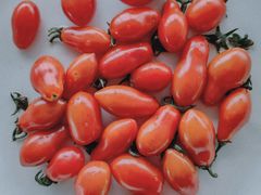 -江杨农产品批发市场