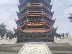 -铁山坪森林公园