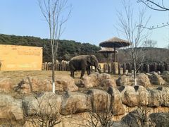 -沈阳森林动物园