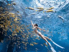 -三亚海昌梦幻海洋不夜城