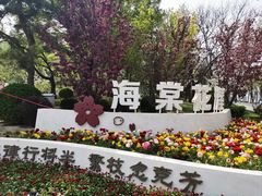 -海棠花溪(元大都城垣遗址公园)