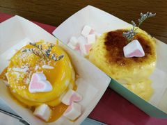 -狐狸和向日葵(北京路店)
