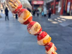 -糖葫芦王保定名吃(古莲花池店)