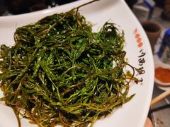 -川西坝子(老军营店)