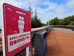 -东澳岛
